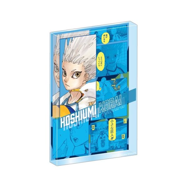 ﹝預購﹞排球少年 生日磚   星海光來 