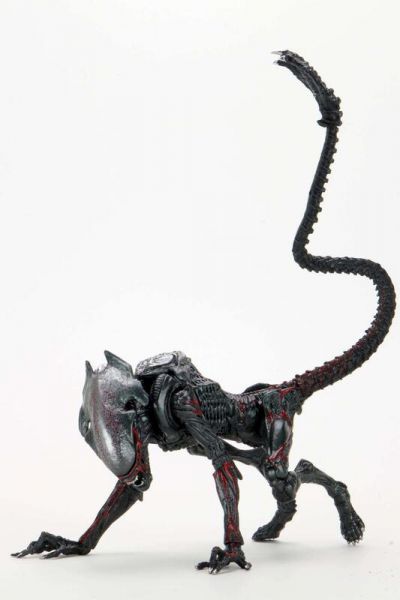 ﹝預購﹞2021年.12月 代理版 異形Kenner Tribute Night Cougar Alien 9吋可動 