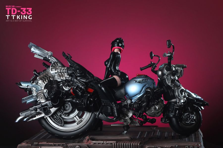 ﹝代購﹞GK  TTKING﹝原創﹞原創設計—第一款 機動幻騎系列 TD-33 