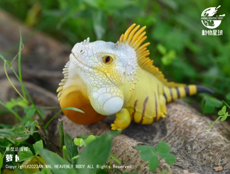 ﹝代購﹞GK  動物星球﹝原創﹞心寬體胖系列十六彈 