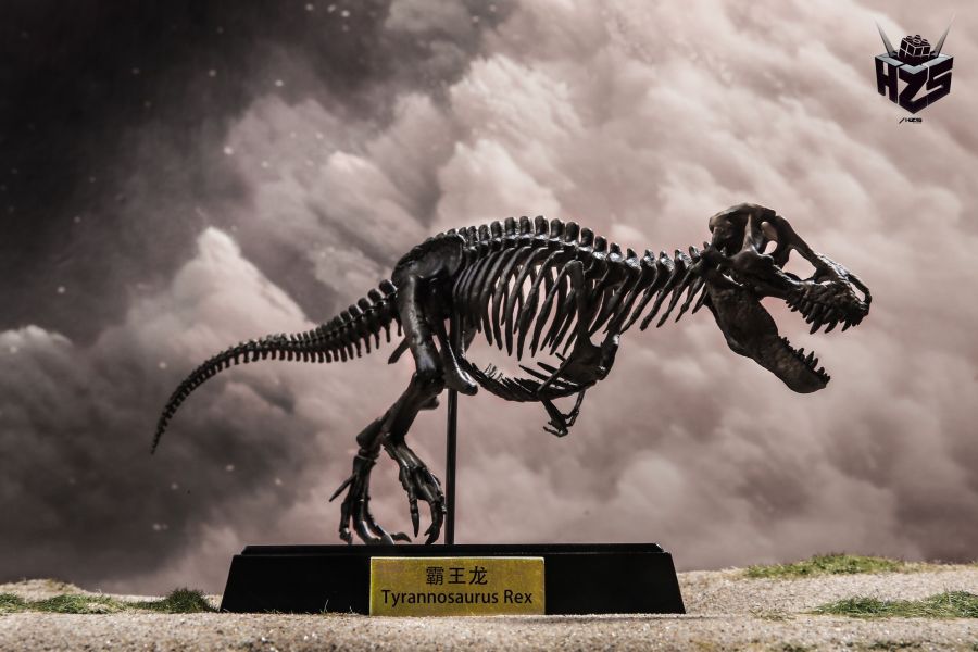 ﹝代購﹞GK 盒作社Hzs﹝原創﹞骨生物系列-恐龍化石霸王龍骨架 
