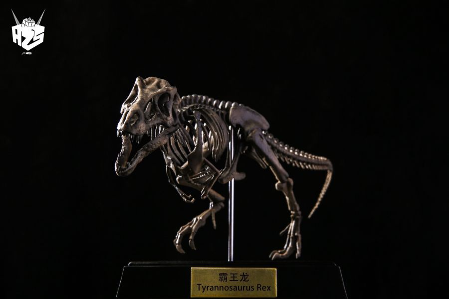 ﹝代購﹞GK 盒作社Hzs﹝原創﹞骨生物系列-恐龍化石霸王龍骨架 