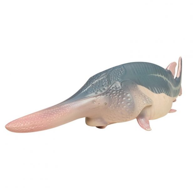 ﹝代購﹞GK  動物星球﹝原創﹞中國的珍寶3 