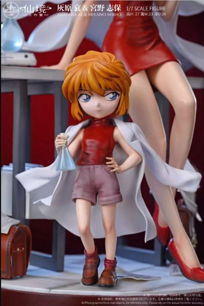 ﹝代購﹞GK   仙境﹝名偵探柯南﹞名偵探雙人共鳴系列 第二彈 【灰原哀&宮野志保】 