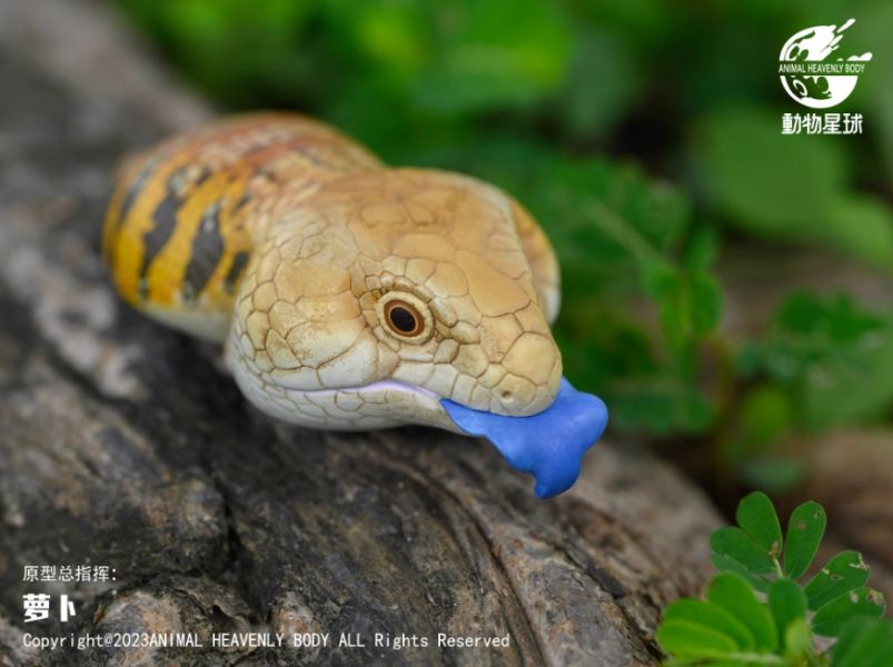 ﹝代購﹞GK  動物星球﹝原創﹞心寬體胖系列十六彈 