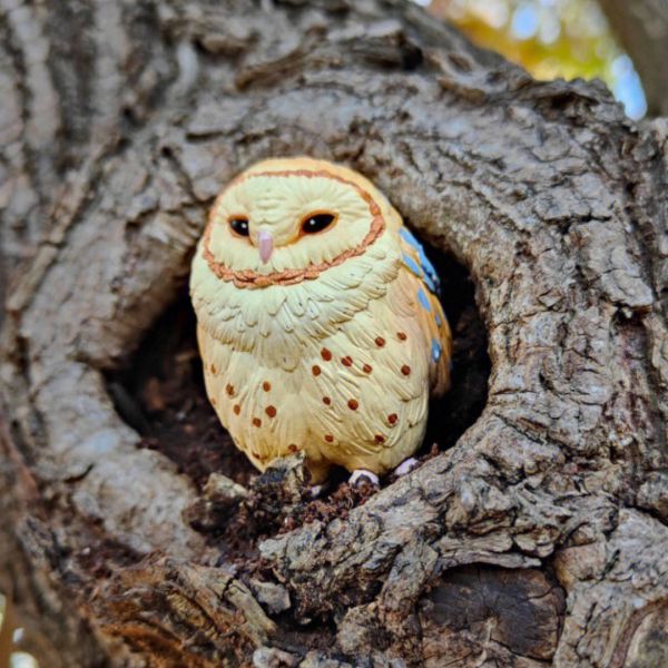 ﹝現貨﹞盲盒 動物星球 心寬體胖系列 特別篇 鳥類 
