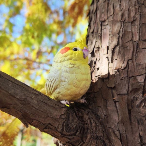 ﹝現貨﹞盲盒 動物星球 心寬體胖系列 特別篇 鳥類 