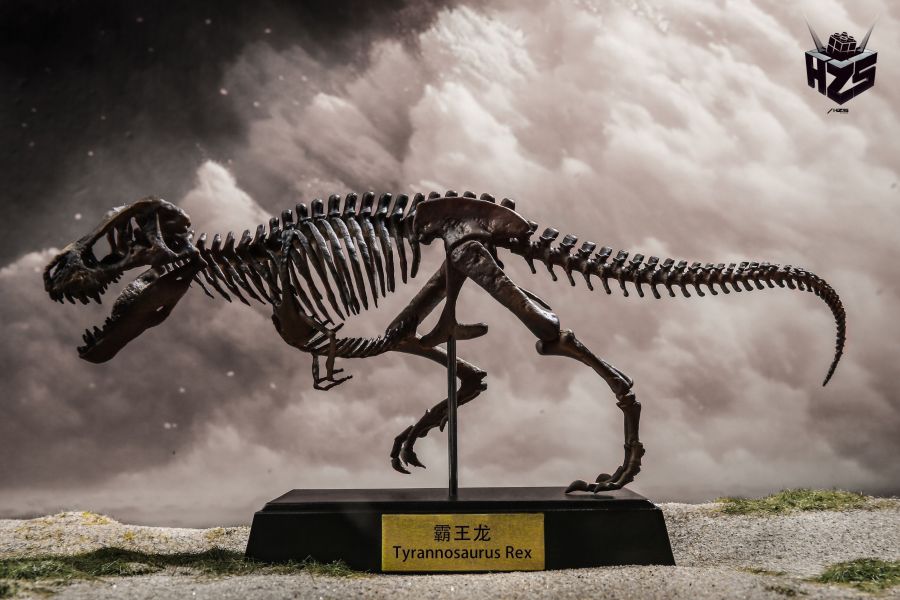 ﹝代購﹞GK 盒作社Hzs﹝原創﹞骨生物系列-恐龍化石霸王龍骨架 