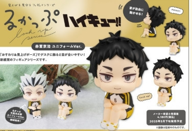 ﹝預購﹞LOOK0UP 排球少年 赤葦京治 制服. 