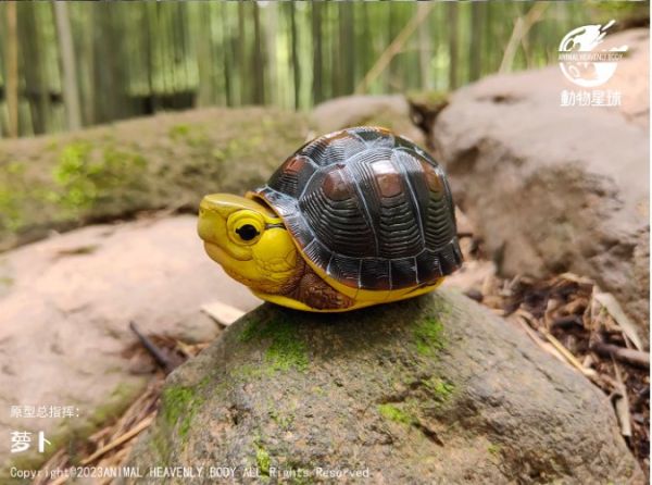 ﹝代購﹞GK  動物星球﹝原創﹞心寬體胖系列十九彈一國龜篇 