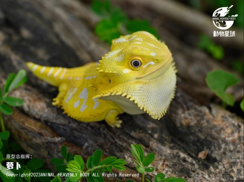 ﹝代購﹞GK  動物星球﹝原創﹞心寬體胖系列十六彈 