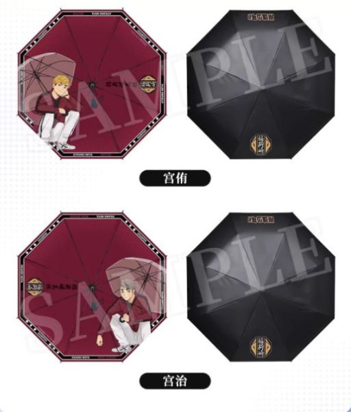 ﹝預購﹞周邊/ 正版 排球少年雨傘 可挑款 