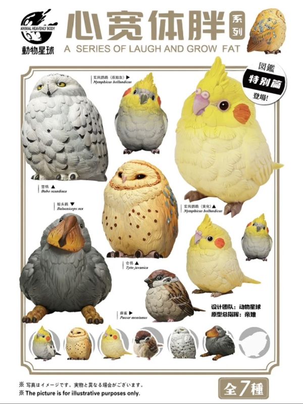 ﹝現貨﹞盲盒 動物星球 心寬體胖系列 特別篇 鳥類 