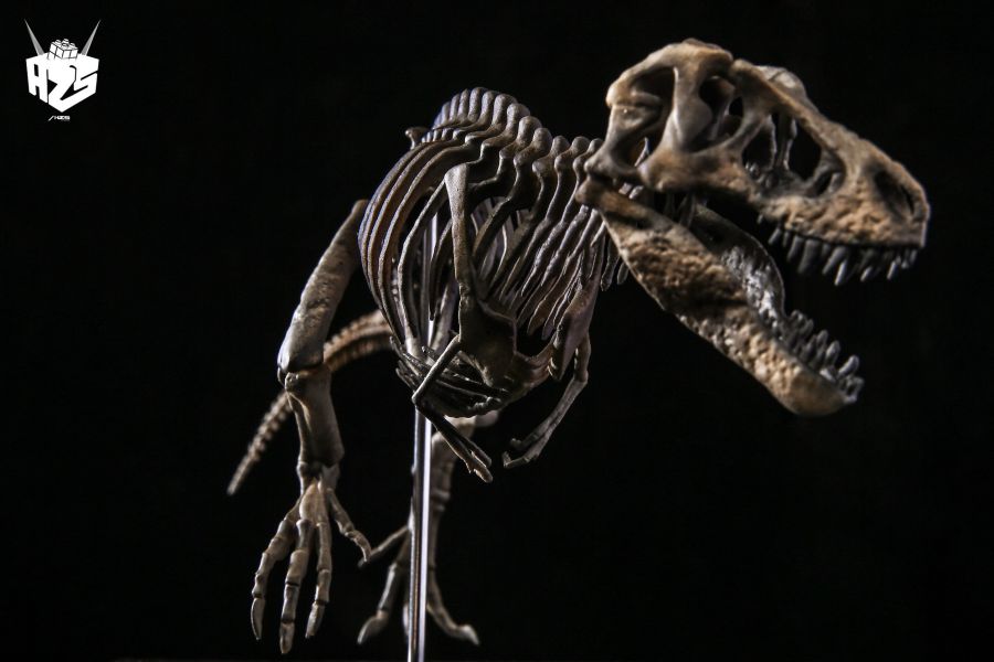 ﹝代購﹞GK 盒作社Hzs﹝原創﹞骨生物系列-恐龍化石霸王龍骨架 