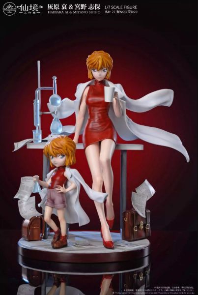 ﹝代購﹞GK   仙境﹝名偵探柯南﹞名偵探雙人共鳴系列 第二彈 【灰原哀&宮野志保】 