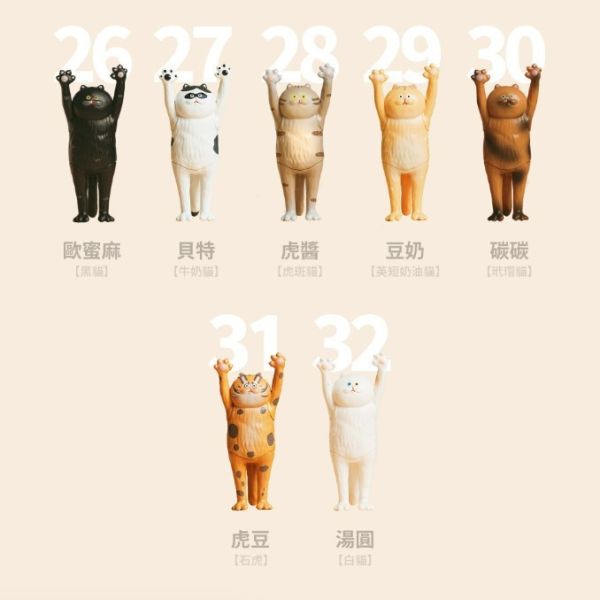 ﹝現貨﹞盲盒 路遙圓創 貓的抱抱 