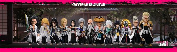﹝補款﹞GK YZ﹝死神﹞千年血戰篇隊長最終彈  十三番隊隊長 浮竹十四郎 