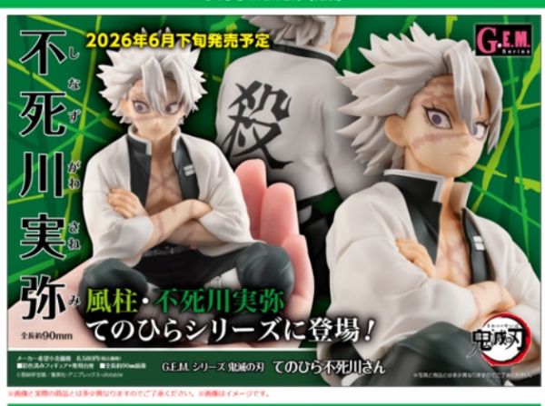 ﹝預購﹞G.E.M.鬼滅之刃 手心的不死川先生【再販】 