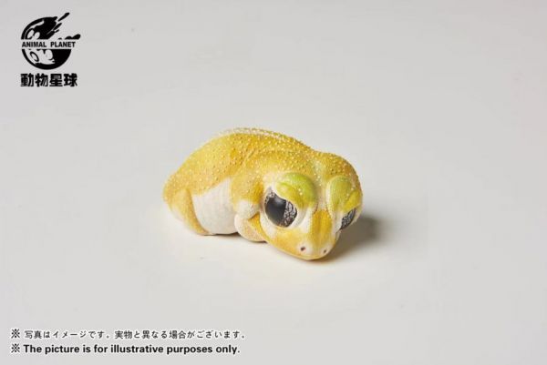 ﹝在台現貨﹞GK   動物星球﹝原創﹞心寬體胖系列02彈  《守宮2》 