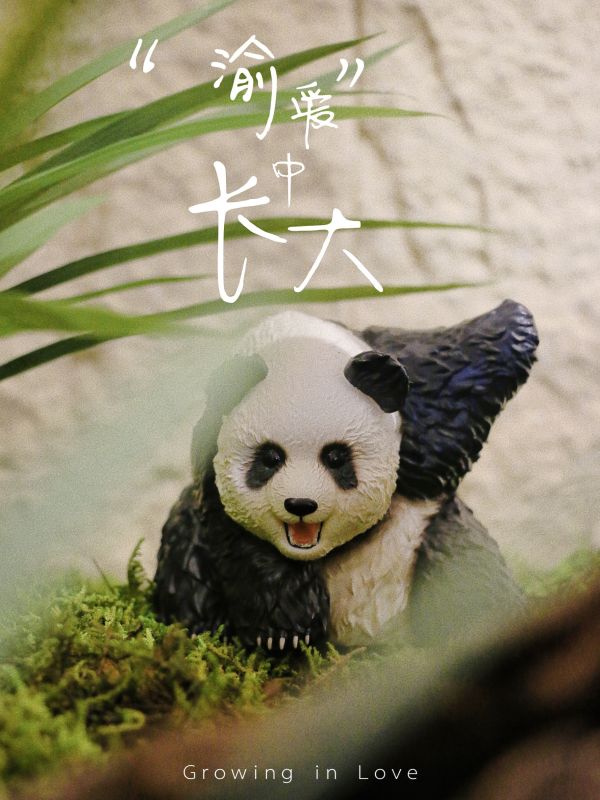 ﹝代購﹞GK  瘋‮動狂‬物園﹝原創﹞ 渝愛“墩” 熊貓 
