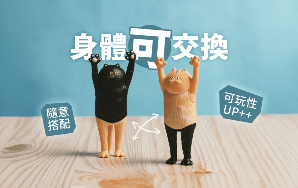 ﹝現貨﹞盲盒 路遙圓創 貓的抱抱 