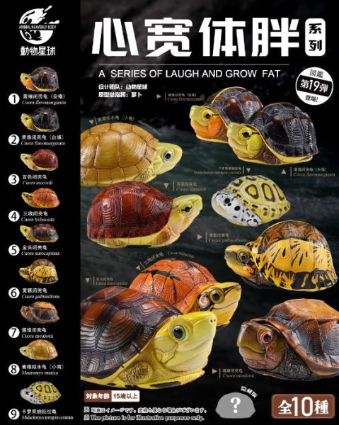 ﹝代購﹞GK  動物星球﹝原創﹞心寬體胖系列十九彈一國龜篇 