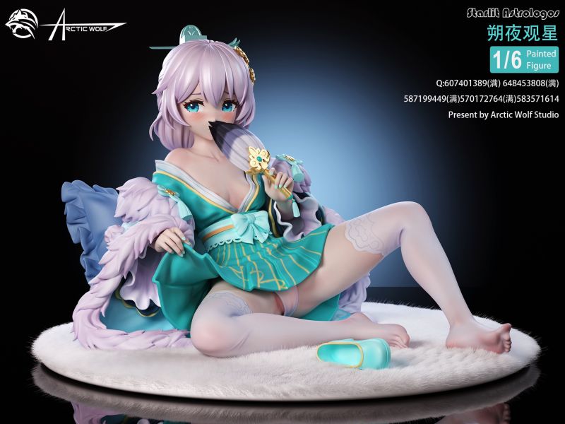 ﹝代購﹞GK   Arctic wolf﹝崩壞星穹鐵道﹞崩壞三 德莉莎 朔夜觀星 