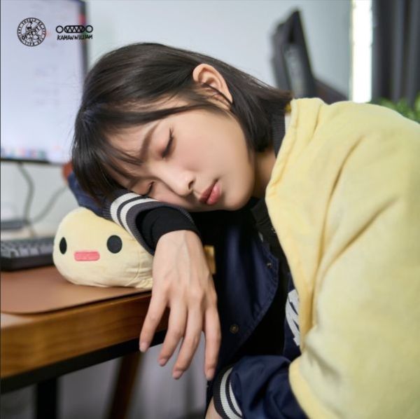 ﹝在台現貨﹞  OFF ART﹝原創﹞Bananaers Dog蕉狗枕頭+涼被組 