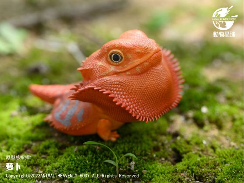 ﹝代購﹞GK  動物星球﹝原創﹞心寬體胖系列十六彈 