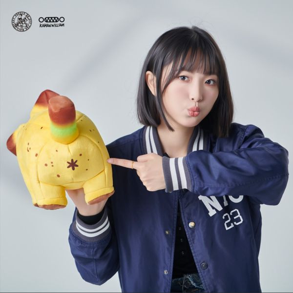 ﹝在台現貨﹞  OFF ART﹝原創﹞Bananaers Dog蕉狗枕頭+涼被組 