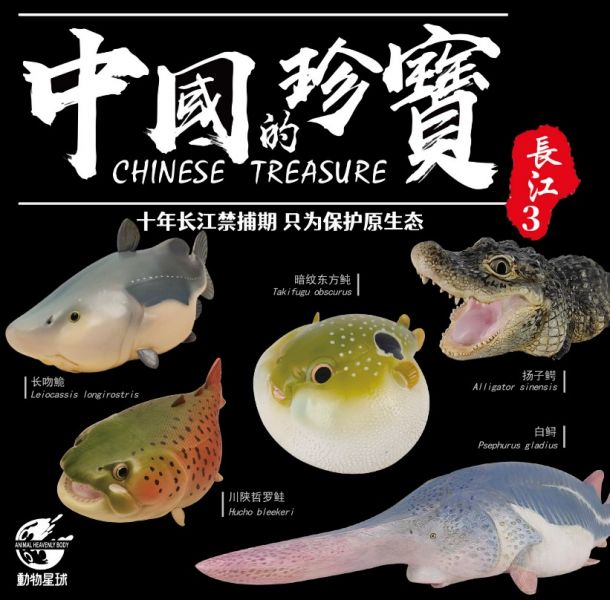 ﹝代購﹞GK  動物星球﹝原創﹞中國的珍寶3 