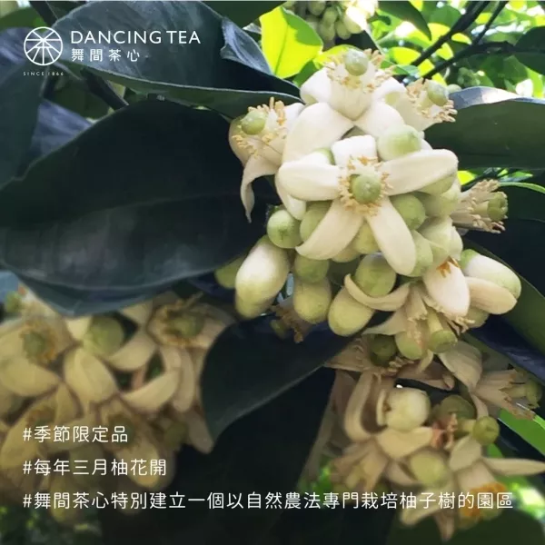 花蓮柚香金萱&AOP蝴蝶酥（紅配綠） 花蓮茶,金萱,蝴蝶酥,禮盒,法蘭司