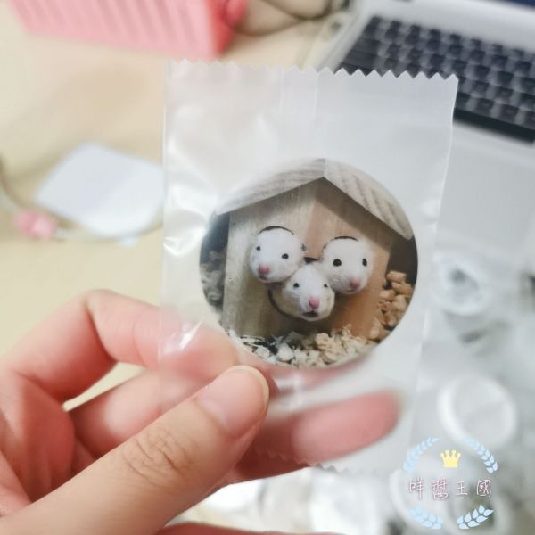 咩醬王國 地獄三頭鼠(阿咚) 別針 