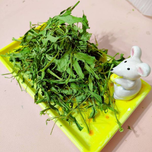 咩醬王國 空心菜 