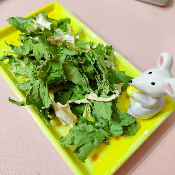 咩醬王國 結球白菜 