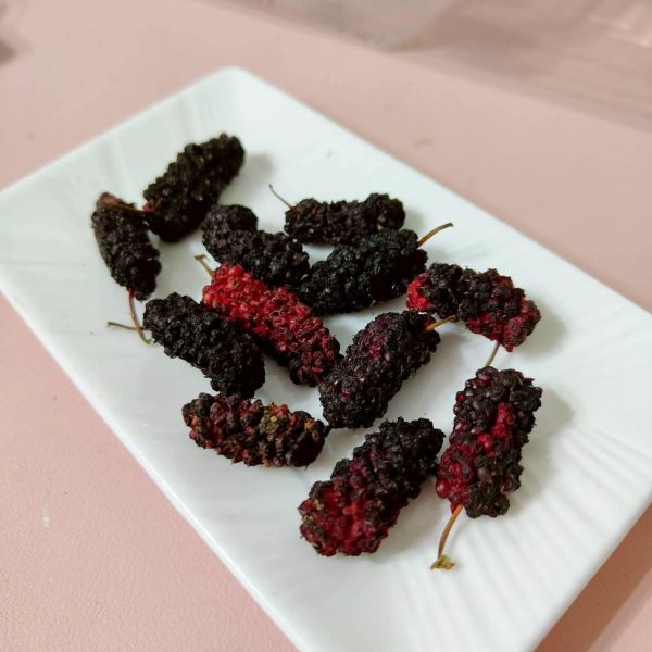 咩醬王國 有機桑葚 