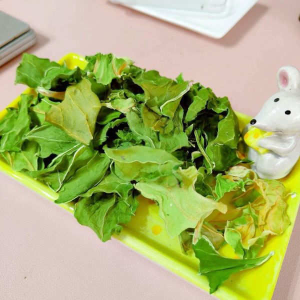 咩醬王國 拉拉山綠高麗 