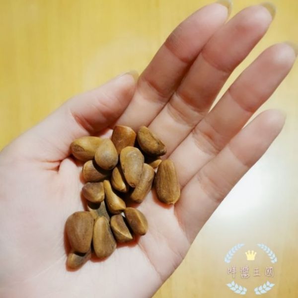 咩醬王國 精選帶殼松子 