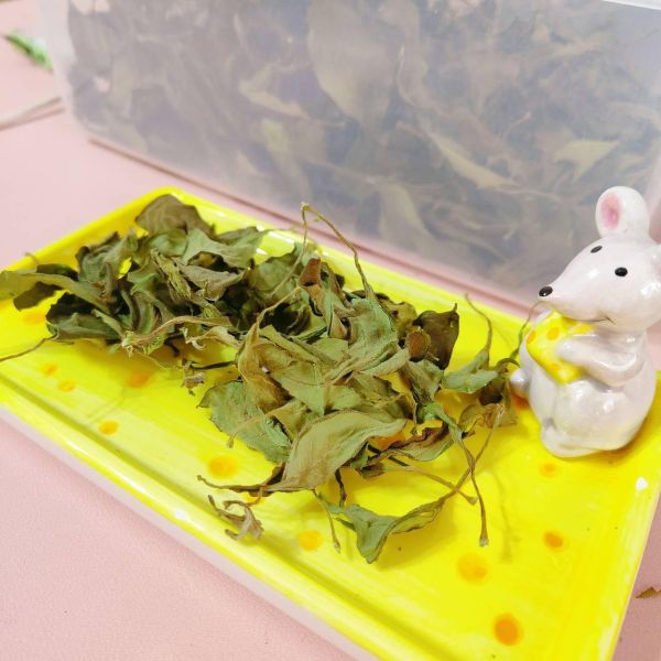 咩醬王國 白鳳菜 