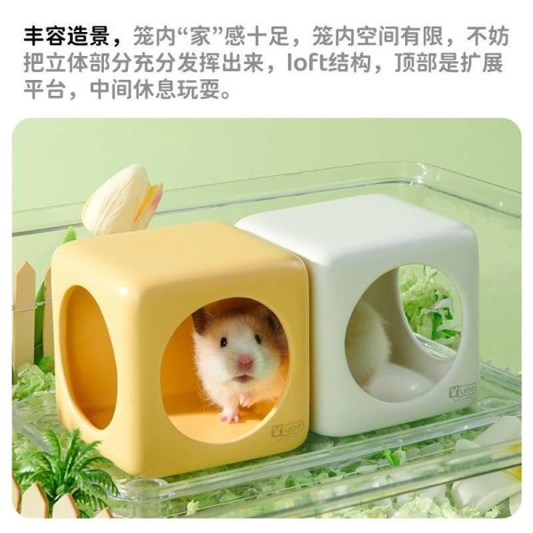 yee 陶瓷隧道 