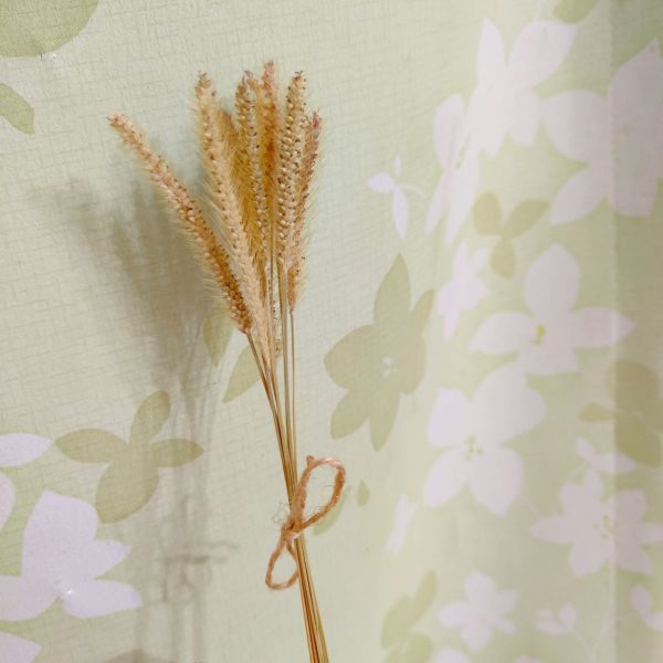 咩醬王國 造景用狗尾草花穗 