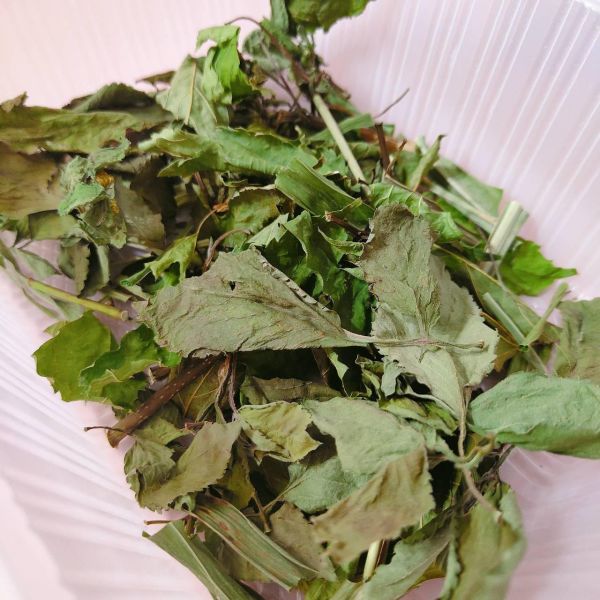 咩醬王國 手採野生草藥 