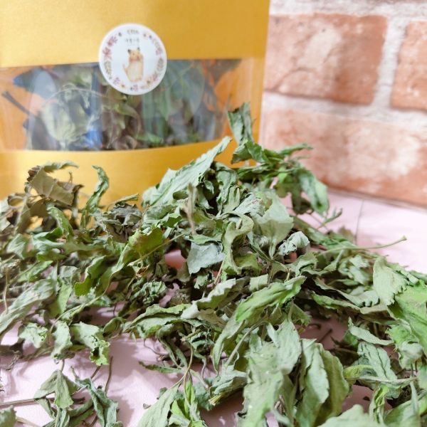 咩醬王國 未開花的咸豐草(高蛋白牧草) 