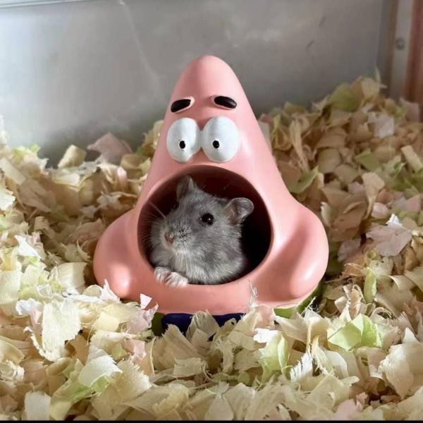 派大星食盤  小窩 (塑膠) 