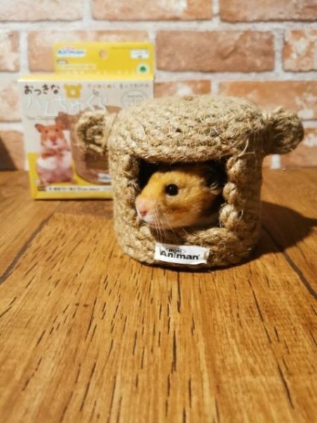 日本 mini 新款鼠窩 doggyman旗下小寵品牌 