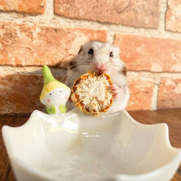 小精靈食盤  陶瓷盤 