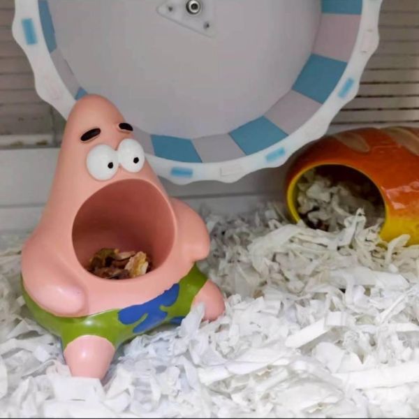 派大星食盤  小窩 (塑膠) 