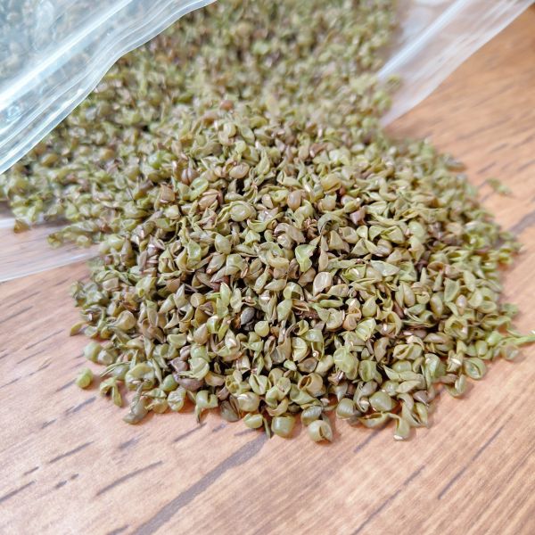 咩醬王國 日曬綠豆殼 天然挖掘墊料 