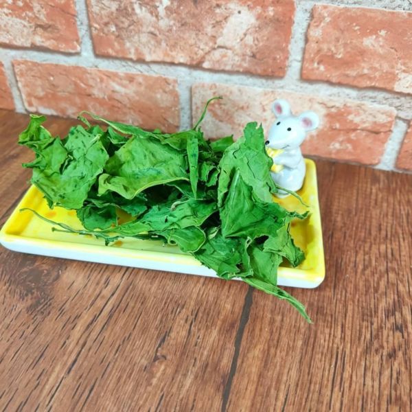 咩醬王國 皇宮菜 