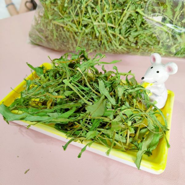 咩醬王國 空心菜 
